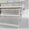 Poultry Farming 3 Tier Chicken Cage Laying Eggs Q235 Steel Wire Mesh