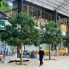 China Indoor Decorative Artificial Wooden Tree Large Articicial Ficus Tree Green Artificial Banyan Tree wholesale