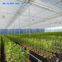 China Galvanized Steel Pipe Agricultural Plastic Film Multi Span Tunnel Greenhouse For Vegetable on sale