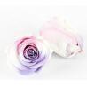 Amazing Appearance Preserved Rose Heads A Grade Fresh Rose Material