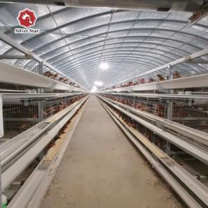 10000 Birds Poultry Farm Automatic H Type Battery Chicken Egg Laying Hen Layer Cage