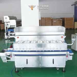 China 7-Head Linear Flipping Combination Weigher Packing Machine For Tilapia Fish Parrotfish Shell wholesale
