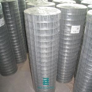 Plain Weave Welded Wire Fence Roll Galvanized Iron Wire Fencing Mesh Hole 1/2" X 1/2"