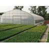 China Small Size Single Span Greenhouse , Easy Operate Polyethylene Foil Greenhouse wholesale