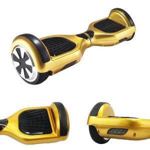 China Gold Mini 2 Wheel Electric Standing Scooter 250W Stand On Scooter With 2 Wheels supplier