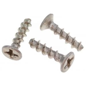 China 2.5 mm Stainless Steel PT Screws for Plastic Phillips Flat Head A2 Fastener supplier