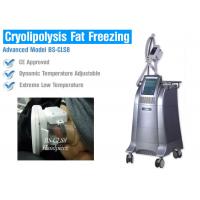 China Non Surgical Liposuction Cryolipolysis Body Slimming Machine , Vacuum Weight Loss Machine on sale