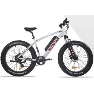 48V 500W 8Fun Brushless Motor Mountain Electric Bicycle MTB Electric Powered Bike with LCD Display