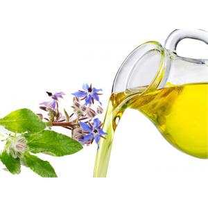 China Yellow Colored Liquid Organic Borage Oil Cold Pressed Extraction Process supplier