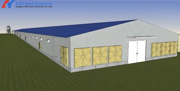 Custom Prefab Layer Chicken House with Automatic Feeding System