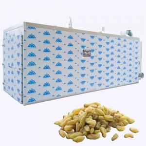 China Energy Saving Grape Raisin Tray Dryer Machine 2000KG 40KW 90 Trays Dehydrator supplier