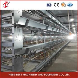 High Density Poultry Farming Broiler Chicken Cage 112 Birds For Day Old Farm House Ada