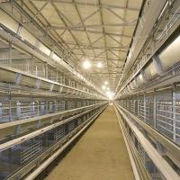 China Automatic Layer Poultry Farming Equipment Battery Chicken Egg Layer Cage System on sale