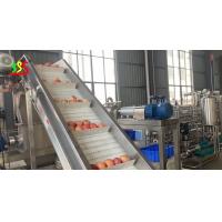 China 1000kg/H Apple Input Juice Fruit Puree Processing Line Automatic Operation on sale