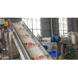 1000kg/H Apple Input Juice Fruit Puree Processing Line Automatic Operation
