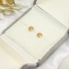 5 Pairs Per Set Gold Earrings Jewelry Shiny Crystals 316 Stainless Steel Bar