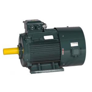 China YE3 AC Induction motor , Three Phase Motor with Fully-enclosed and Fan Cooled Squirrel Cage supplier
