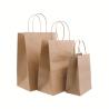 China Custom Offset Printing Kraft Paper Gift Bag With Twisted Handle wholesale