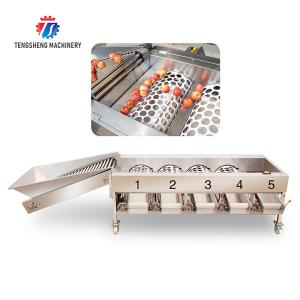 果物 オレンジ 野菜 サイコ パシモン レモン マンダリン パッション 果物 アボカド チェリー マンゴー 梨 マンゴスタイン キウイ 果物加工 生産 検査 分類 選別機