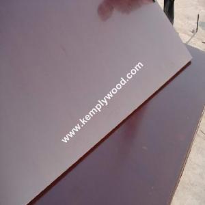 China 18mm Brown Film Faced Plywood,  Brown film coated construction plywood, Formwork supplier