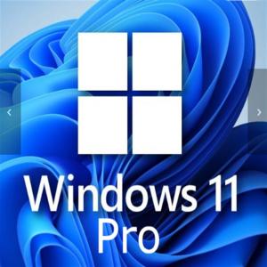 China Windows 11 Professional 1 User Key For Small Businesses Enhanced supplier