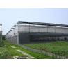 Agricultural Vegetable Tunnel Multi-Span Plastic / Poly Greenhouse