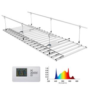 China 1600W 2000W LED Grow Light For Large Scale 4x8 4x10 Ft Growth Coverage wholesale