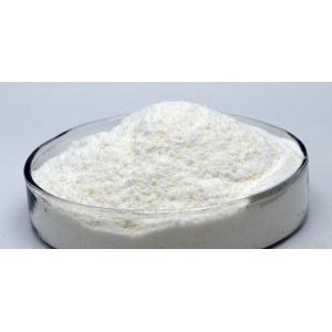 Honey Extract Powder Freeze Dried White Powder Lyophilized Powder