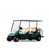 Carro de golf de Seater del vehículo eléctrico 6, carros de golf multi del