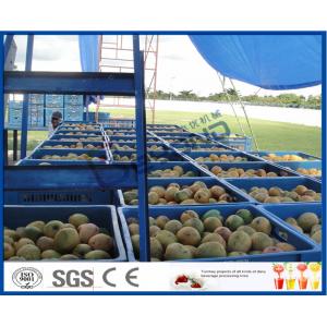 China Fresh Pineapple / Mango Juice Processing Plant With Can Packaging Machine supplier