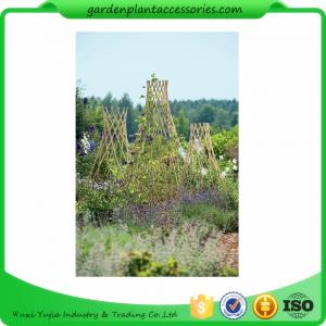 China Straight Garden Bamboo Stakes supplier