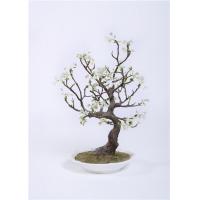 China High Density Indoor Bonsai Tree , Anti UV Silk Tree Bonsai Public Area High Imitation on sale