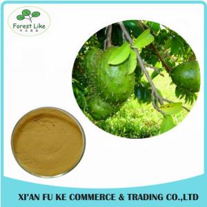 Top Quality Cancer Prevention Supplement Graviola Fruit Extract Powder 5:1 10:1