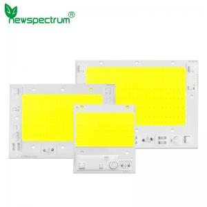 AC110V 220V DOB High Power Cob Light Source Led Cob Chip 100w