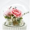 China 3-5 Years Lasting Preserved Rose Glass Dome Beautiful Home Decor Day Gift wholesale