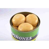 China Light Yellow Canning Mushrooms , Whole Button Mushrooms In Jars on sale