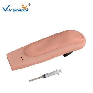 China Modèle de formation médical portable de l'injection intramusculaire 8kgs supplier