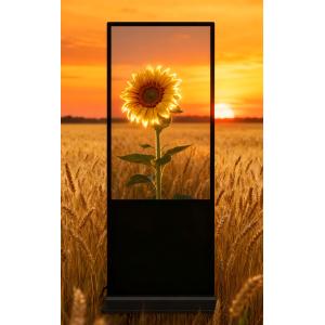 China 16 9 Display Scale Floor Standing Digital Signage Run Memory DDR3 1GB/2GB Support Horizontal/Vertical Installation wholesale