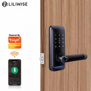 China Electrical Panel Home Smart Lock For Remote Control Gate supplier