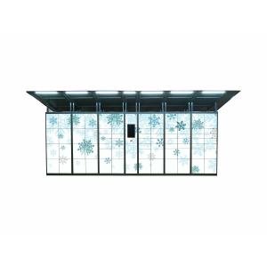 PIN Code Access Steel Parcel Locker For Delivery Service Remote Control Platform