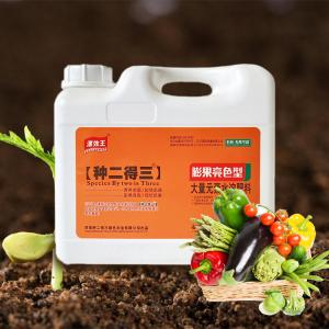 5kg Affordable Water Soluble Lawn Fertilizer Promote Plant Health