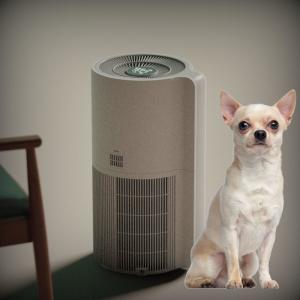 China OEM Small Room Pet Air Purifier For Pet Hair And Mold 60dB supplier
