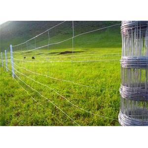 China Animal Rural Farm 150mm Hinge Joint Fence Hot Dipped Galvanized Steel Wire Mesh supplier