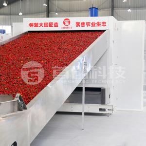 China Shouchuang Heat Pump Chili Red Pepper Belt Drying Equipment supplier