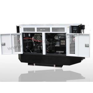 Carrier Type 30kva 60Hz Silent Diesel Generator IP23 Protection Class