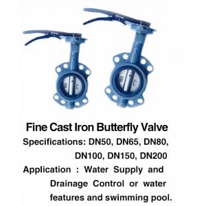 Pool Fountain Accessories Manual DN25 1 Inch Cast Iron Butterfly Valve