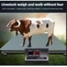 China Truck Scale 1.5*1.5 m 3 Ton Platform Weighing Floor Scale with Load Cell Weighing Instrument and Battery Power Supply wholesale