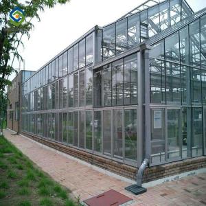 China Vegetable Plant Commercial Glass Greenhouse Span Width 9.6 / 10.8 / 12m wholesale