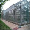 China Vegetable Plant Commercial Glass Greenhouse Span Width 9.6 / 10.8 / 12m wholesale