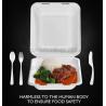 disposable takeout box for lunch, carry out container, meal prep food container